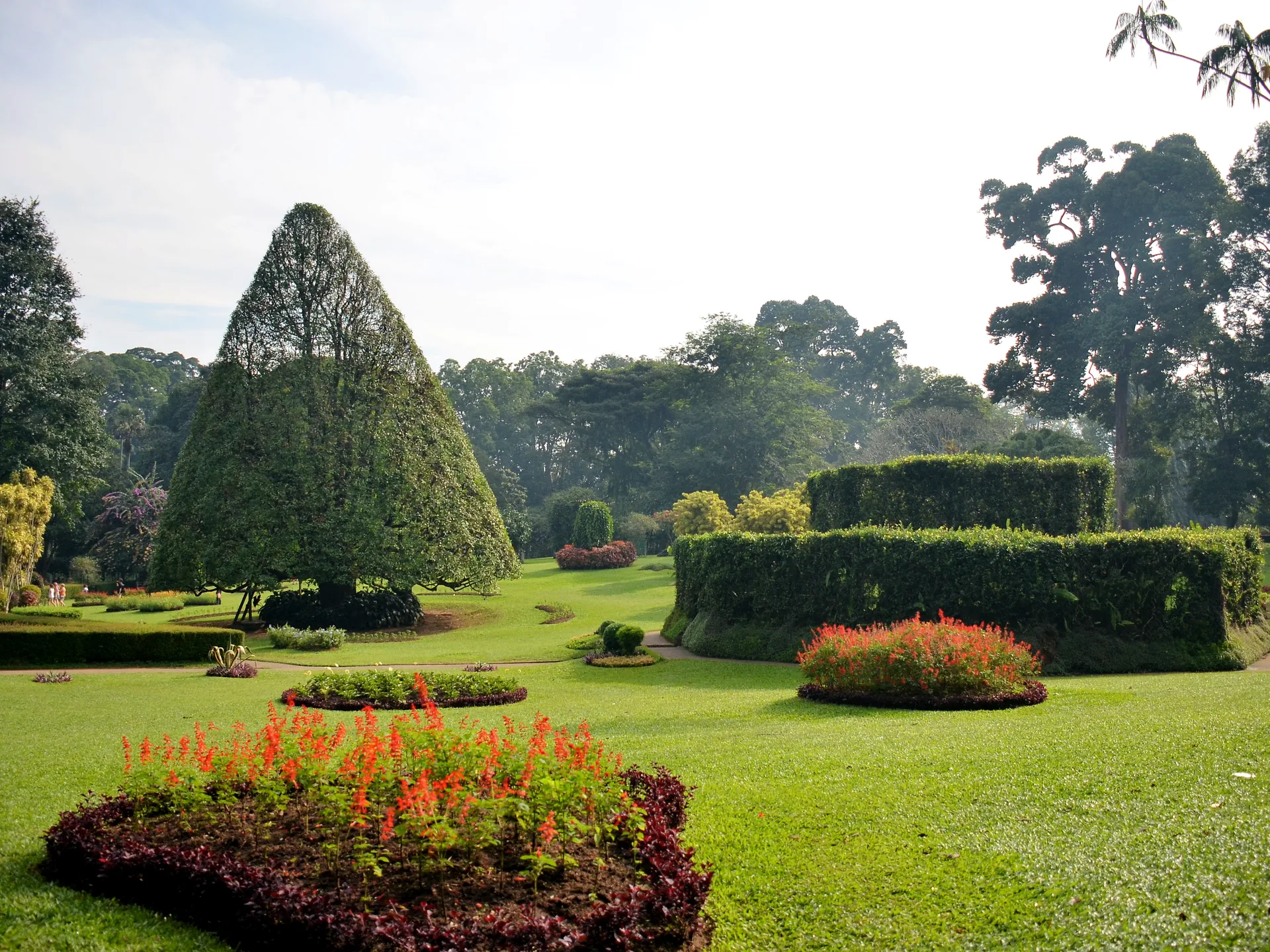 Peradeniya Gardens Area